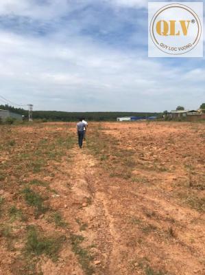 Bán đất trống - PHƯỚC HÒA, PHÚ GIÁO – 48.450 m²